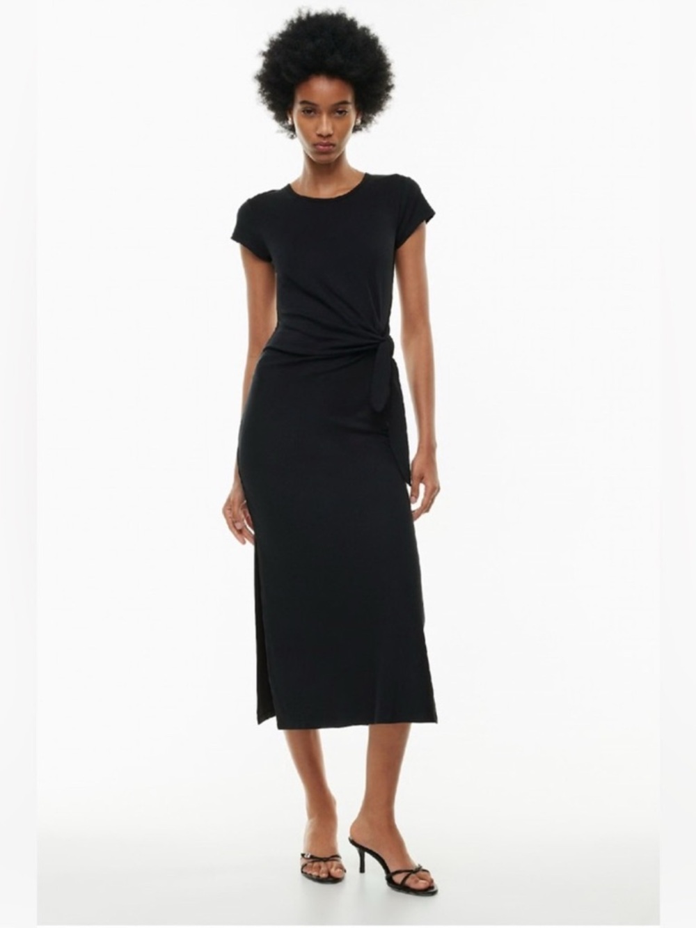 Aritzia Wilfred Fortune Maxi Dress